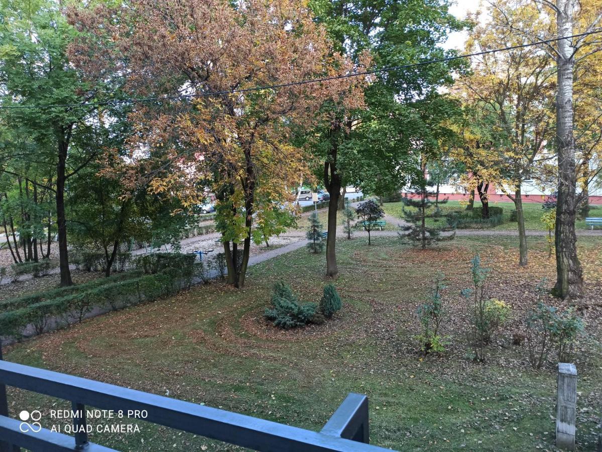 Studio Park Slaski Katowice/Chorzów Dış mekan fotoğraf